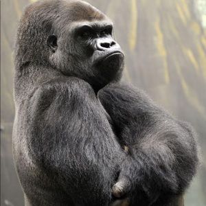 Meet your Posher, Richard